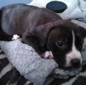 Meet your Posher, Sabrina